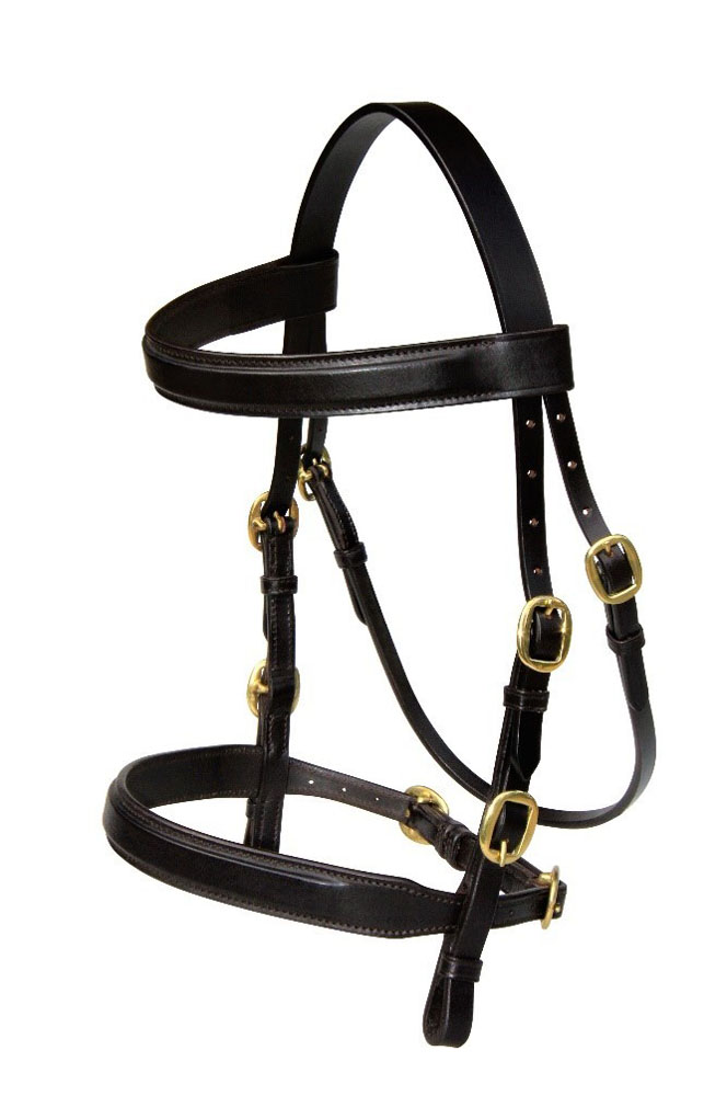 Leather in hand bridle